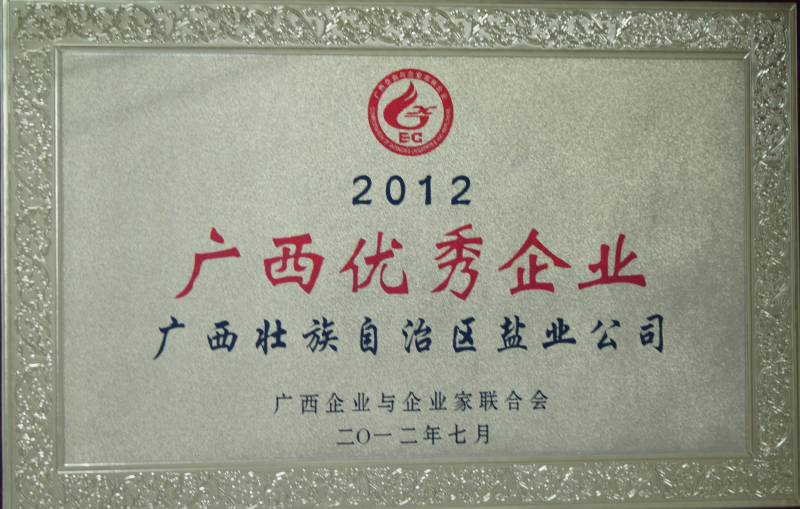 2012年度“廣西優秀企業”榮譽牌匾