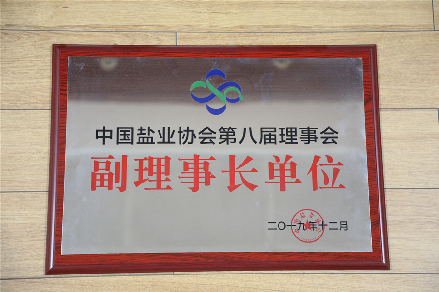 中國鹽業協會第八屆理事會副理事長單位